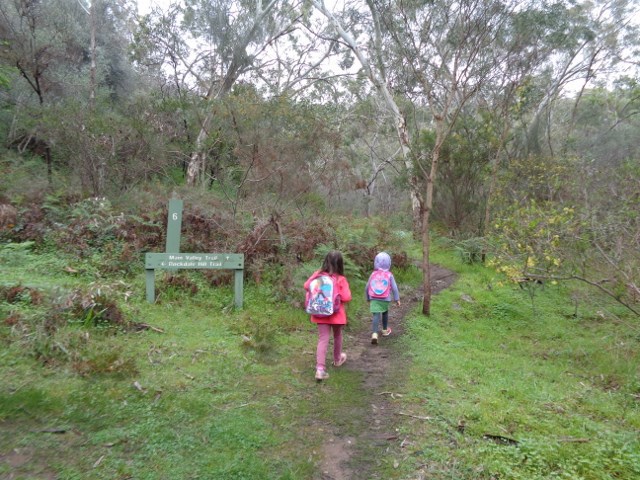 Nature Exploration
